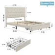 Sable Storage Bed in Light Beige – Queen Size with Dimensions and Drawer Storage Details