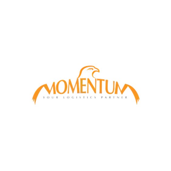 Momentum