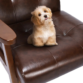 Brown Livia Accent Leatherite Armchair Closeup