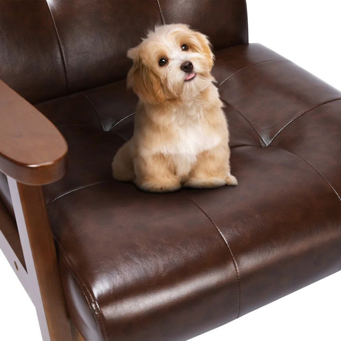 Brown Livia Accent Leatherite Armchair Closeup