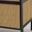 Close-up of Cicada Cane Wardrobe showcasing natural woven cane panels and black wood frame