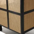 Cicada Cane Wardrobe with intricate woven cane panels and a sturdy black wood frame