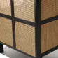 Cicada Cane Wardrobe with intricate woven cane panels and a sturdy black wood frame