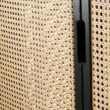Cicada Cane Wardrobe Closeup