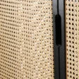 Cicada Cane Wardrobe Closeup