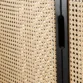 Cicada Cane Wardrobe Closeup