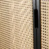 Cicada Cane Wardrobe Closeup