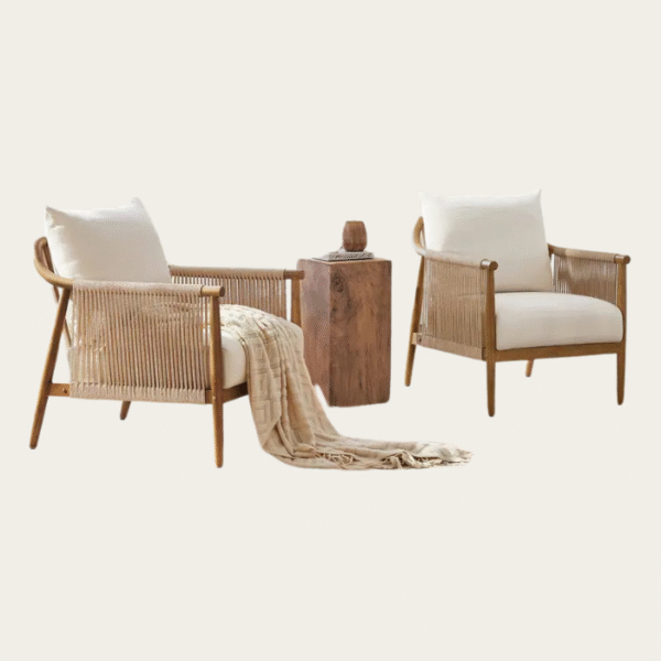 Tenor Accent Chair 2 Side image of two stylish Tenor Accent Chair