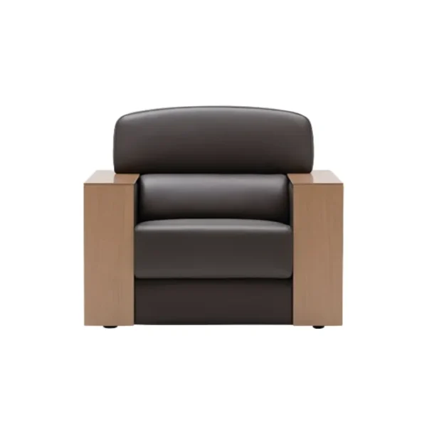 Velora Classic Sofa Details 2 Velora Classic single Sofa With Premium Lether and wooden armrest