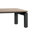 Black Sturdy Legs of Velora Sofa Table