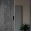 Close-up of charcoal wood sliding door with recessed pull beside a mirrored panel—modern wardrobe detail