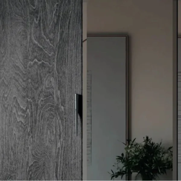Eclipse Wardrobe (4) Close-up of charcoal wood sliding door with recessed pull beside a mirrored panel—modern wardrobe detail