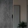 Close-up of charcoal wood sliding door with recessed pull beside a mirrored panel—modern wardrobe detail