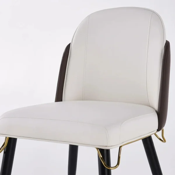 Monaco Chair (5) close view of dining chair showing premium upholstery