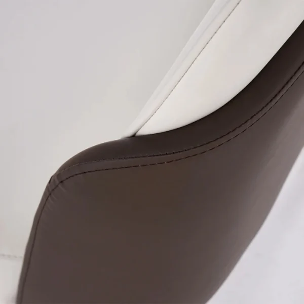 Monaco Chair (6) close view of dining chair showing two-tone leather upholstery.
