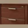 Close-up of the drawer handles and locking mechanism