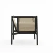 side profile view of black cane chair