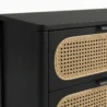 close view showing cane drawer