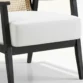 seat cushion close view of armchair