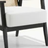 seat cushion close view of armchair