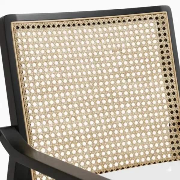 Cane Sculpt Chair - White (5)_ cane backrest close view showing cane detail