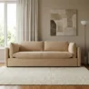 front view of liora sofa in modern background