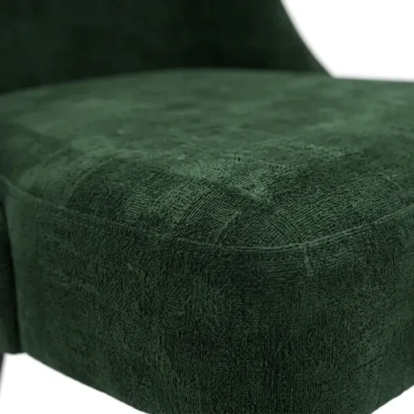 BerylBase Dining set - Chair (5)_ close view showing velvet green texture