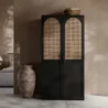 fornt view of tressel wardrobe in matching background