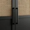 door handles close view showind door cane pannel