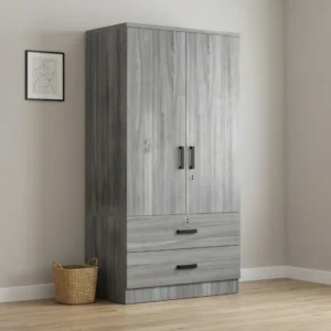 A stylish modern 2 door wardrobe seamlessly integrated into a contemporary Pakistani bedroom interior.