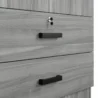Close-up of the ribbed wood texture and premium foil-coated finish on the Frost modern 2 door wardrobe.